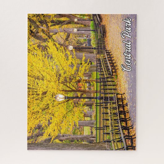 Puzzle Central Park, Manhattan, New York, USA (Vertical)