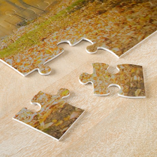 Puzzle Central Park New York. (Côté)