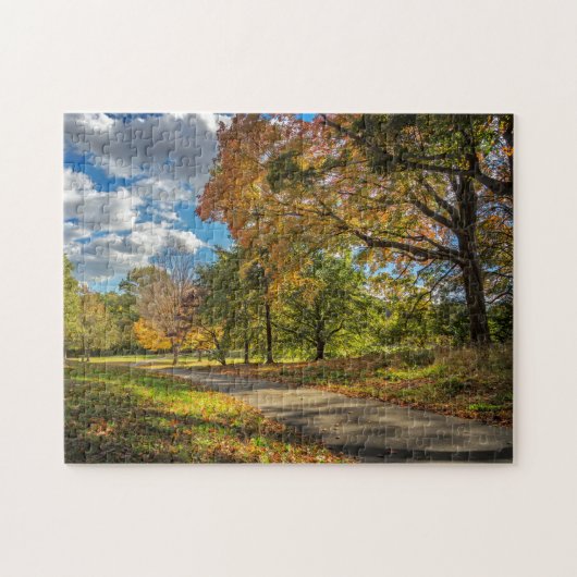 Puzzle Central Park New York (Horizontal)