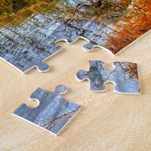 Puzzle Central Park New York (Côté)