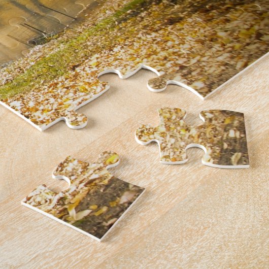 Puzzle Central Park New York. (Côté)