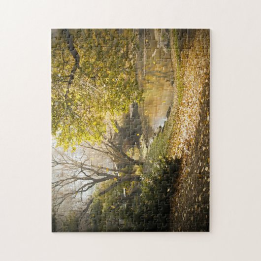 Puzzle Central Park New York. (Vertical)