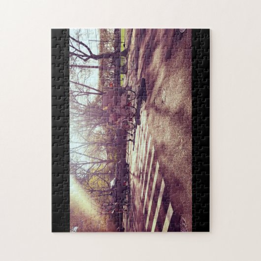 PUZZLE CENTRAL PARK NEW YORK (Vertical)