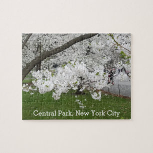 Puzzle Central Park New York Arbre florissant au printemp