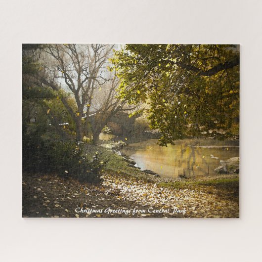Puzzle Central Park New York.voeux de Noël (Horizontal)