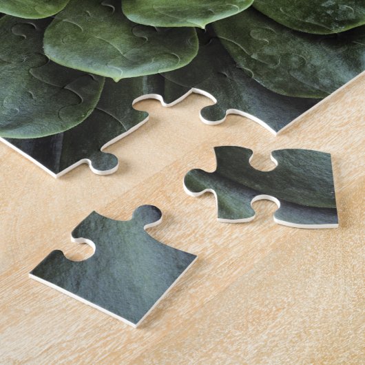 Puzzle Centre de cactus (Côté)