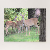 Puzzle Cerf (Horizontal)