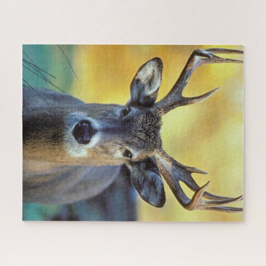 Puzzle Cerf à queue blanche | Automne (Horizontal)