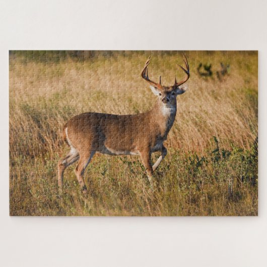 Puzzle Cerf à queue blanche | Automne à TX (Horizontal)