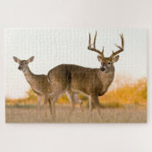 Puzzle Cerf à queue blanche | Automne au Texas (Horizontal)
