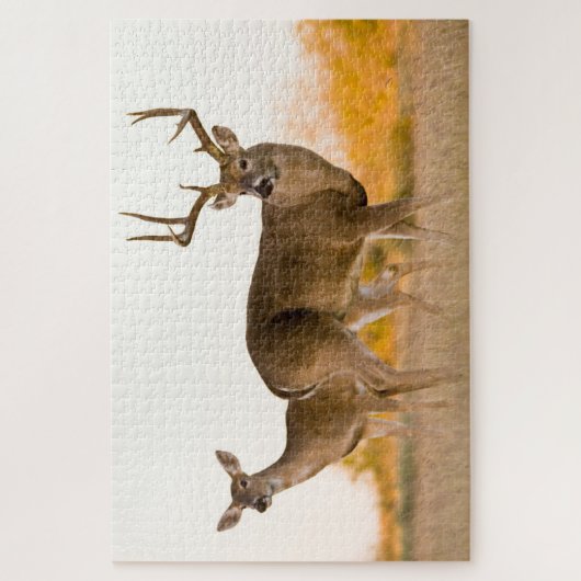 Puzzle Cerf à queue blanche | Automne au Texas (Vertical)