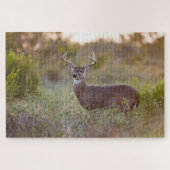Puzzle Cerf à queue blanche | Automne au Texas (Horizontal)