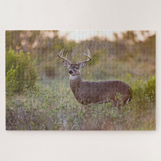 Puzzle Cerf à queue blanche | Automne au Texas (Horizontal)