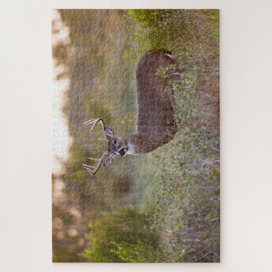 Puzzle Cerf à queue blanche | Automne au Texas (Vertical)