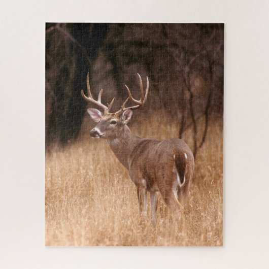 Puzzle Cerf à queue blanche | Choke Canyon State Park, TX (Vertical)