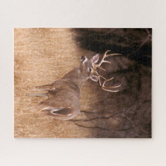 Puzzle Cerf à queue blanche | Choke Canyon State Park, TX (Horizontal)