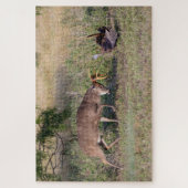 Puzzle Cerf à queue blanche combattant un dindon sauvage (Vertical)