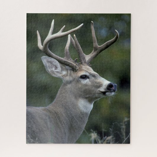 Puzzle Cerf à queue blanche | État de Washington (Vertical)