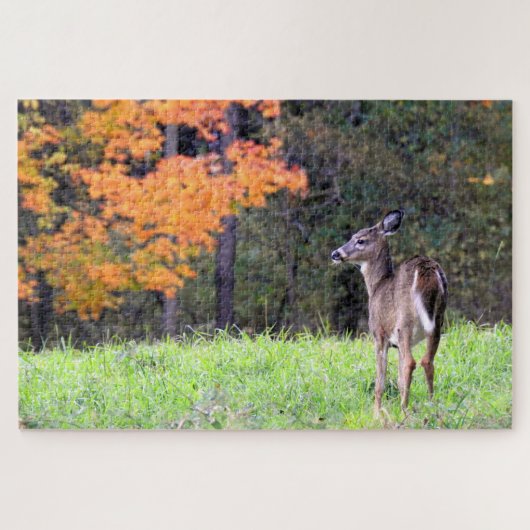 Puzzle Cerf à queue blanche près (Horizontal)