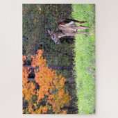 Puzzle Cerf à queue blanche près (Vertical)