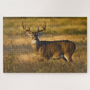 Puzzle Cerf à queue blanche   Sud du Texas