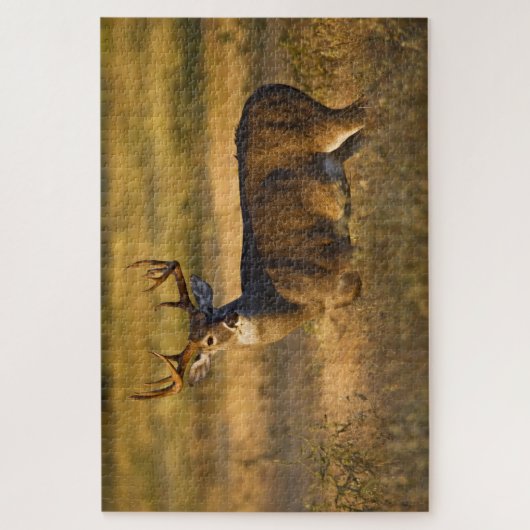 Puzzle Cerf à queue blanche | Sud du Texas (Vertical)