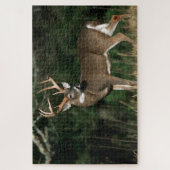 Puzzle Cerf à queue blanche | Tennessee (Vertical)