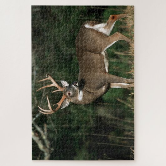 Puzzle Cerf à queue blanche | Tennessee (Vertical)