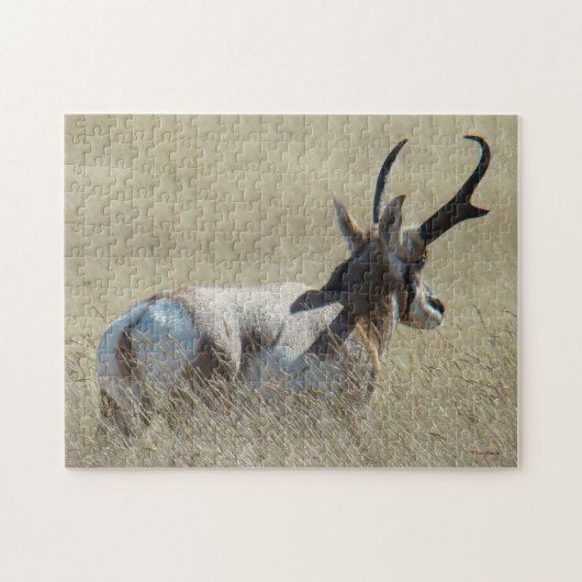 Puzzle Cerf antilope A14 Buck Sunshine (Horizontal)