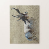 Puzzle Cerf antilope A14 Buck Sunshine (Vertical)