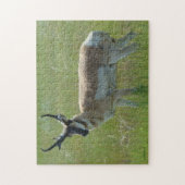Puzzle Cerf antilope A36 (Vertical)