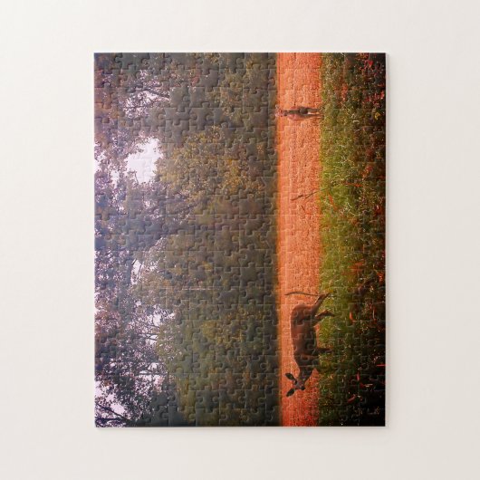 Puzzle Cerf Blanc Dans Un Champ (Vertical)