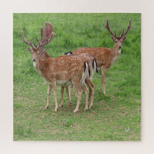 Puzzle cerf, cerf en jachère en plein air (Vertical)