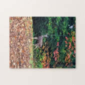 Puzzle Cerf dans la forêt, Oregon (Horizontal)
