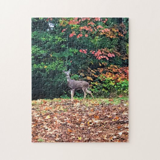 Puzzle Cerf dans la forêt, Oregon (Vertical)