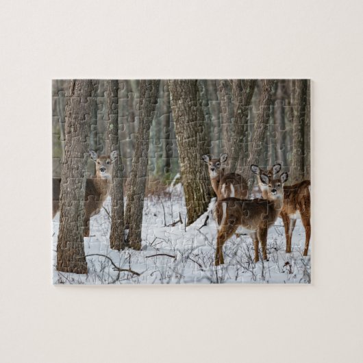 Puzzle Cerf d'hiver 10x8 défi (Horizontal)