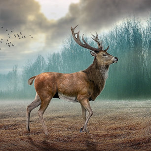 Puzzle Cerf Lone Dans La Forêt Misty