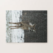 Puzzle Cerf Lone En Neige (Horizontal)