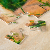 Puzzle Cerf Mule Wyoming . (Côté)