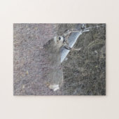 Puzzle Cerf mulet mâle D32 (Horizontal)