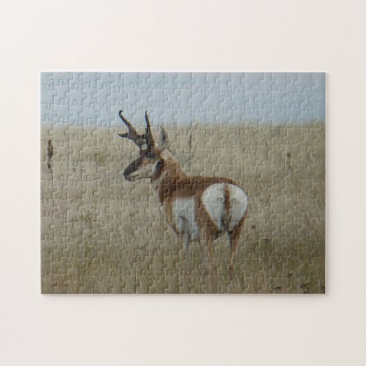 Puzzle Cerf pronghorn A22 mâle (Horizontal)