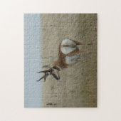 Puzzle Cerf pronghorn A22 mâle (Vertical)