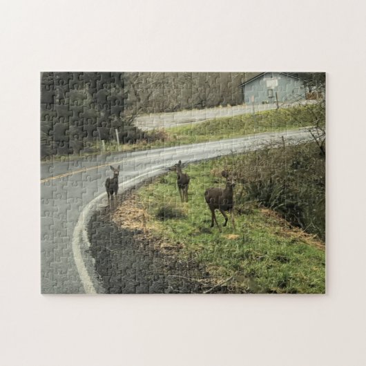 Puzzle Cerf sur la route, Cap Déception, WA (Horizontal)