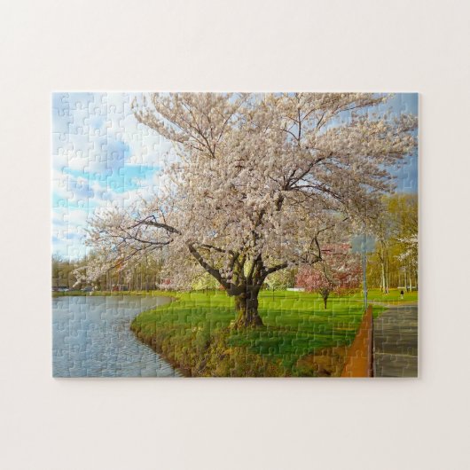 Puzzle Cerisier en Fleur New Jersey. (Horizontal)