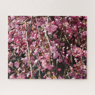 Puzzle Cerisier en fleurs jour de printemps en Italie