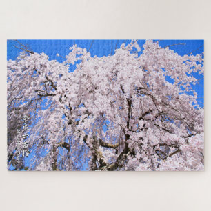 Puzzle Cerisier en pleurs ("Nara Ichiban-Zakura")