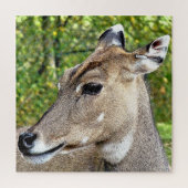 PUZZLE CERVEAU (Vertical)