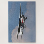 Puzzle Cessna 172R Skyhawk PH-VOP (Vertical)