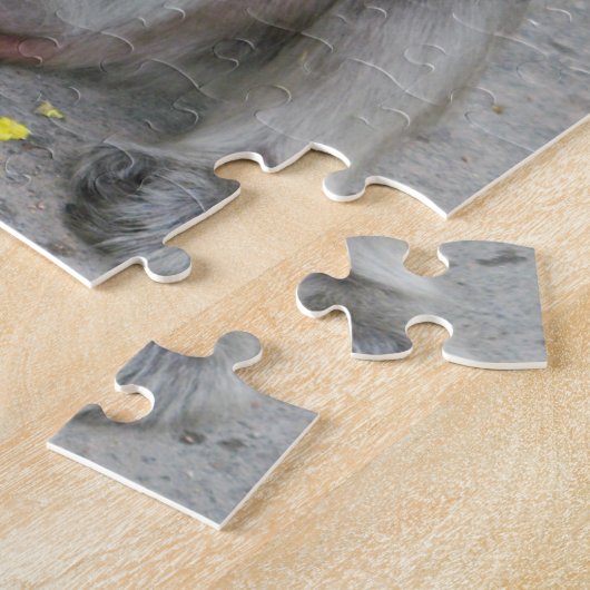 Puzzle C'est à moi ! ! ... Singe Macaque thaïlandais sauv (Côté)