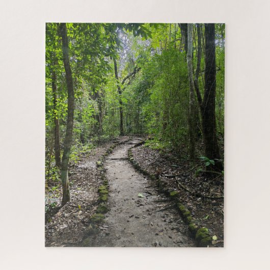 Puzzle Challenging walk through Guatemalan rain forest (Vertical)
